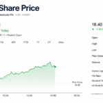 HEMO Share Price