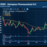 HEMO Share Price