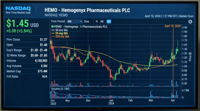 HEMO Share Price